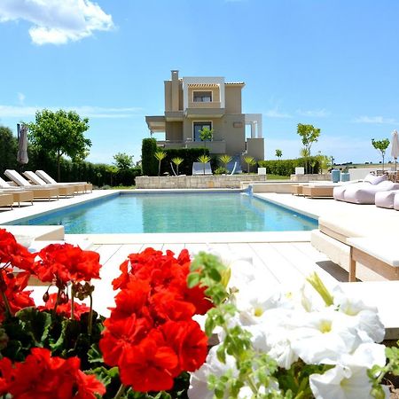 Niovi Boutique Apartments Afytos Exterior photo