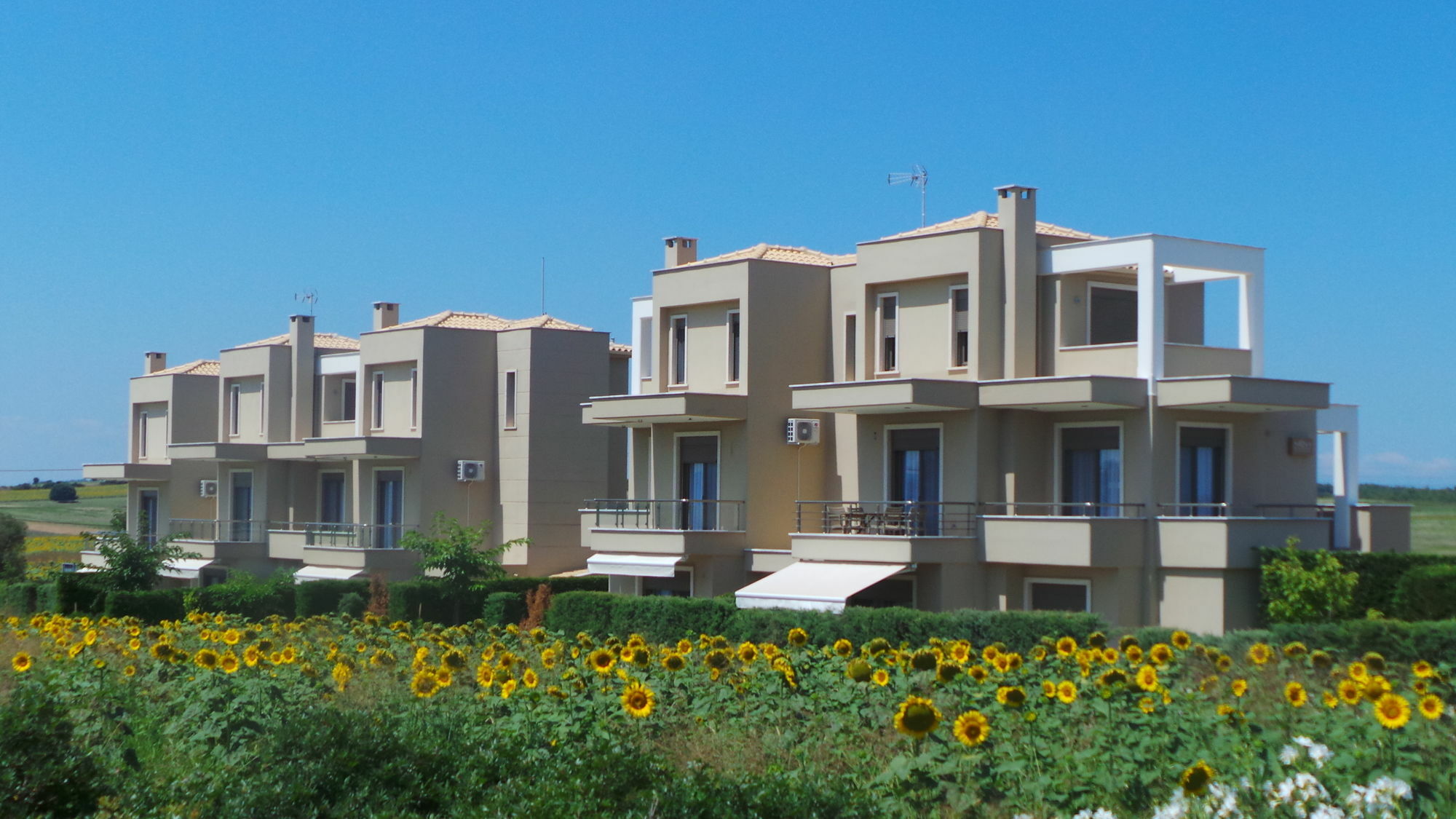 Niovi Boutique Apartments Afytos Exterior photo